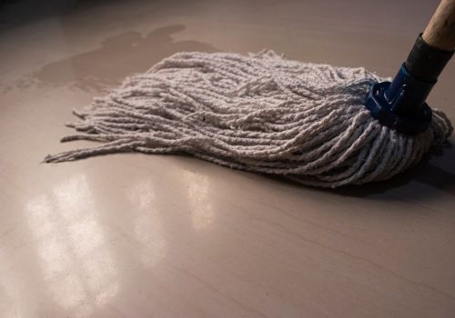 Dirty Mop Scaled F37E1B8E